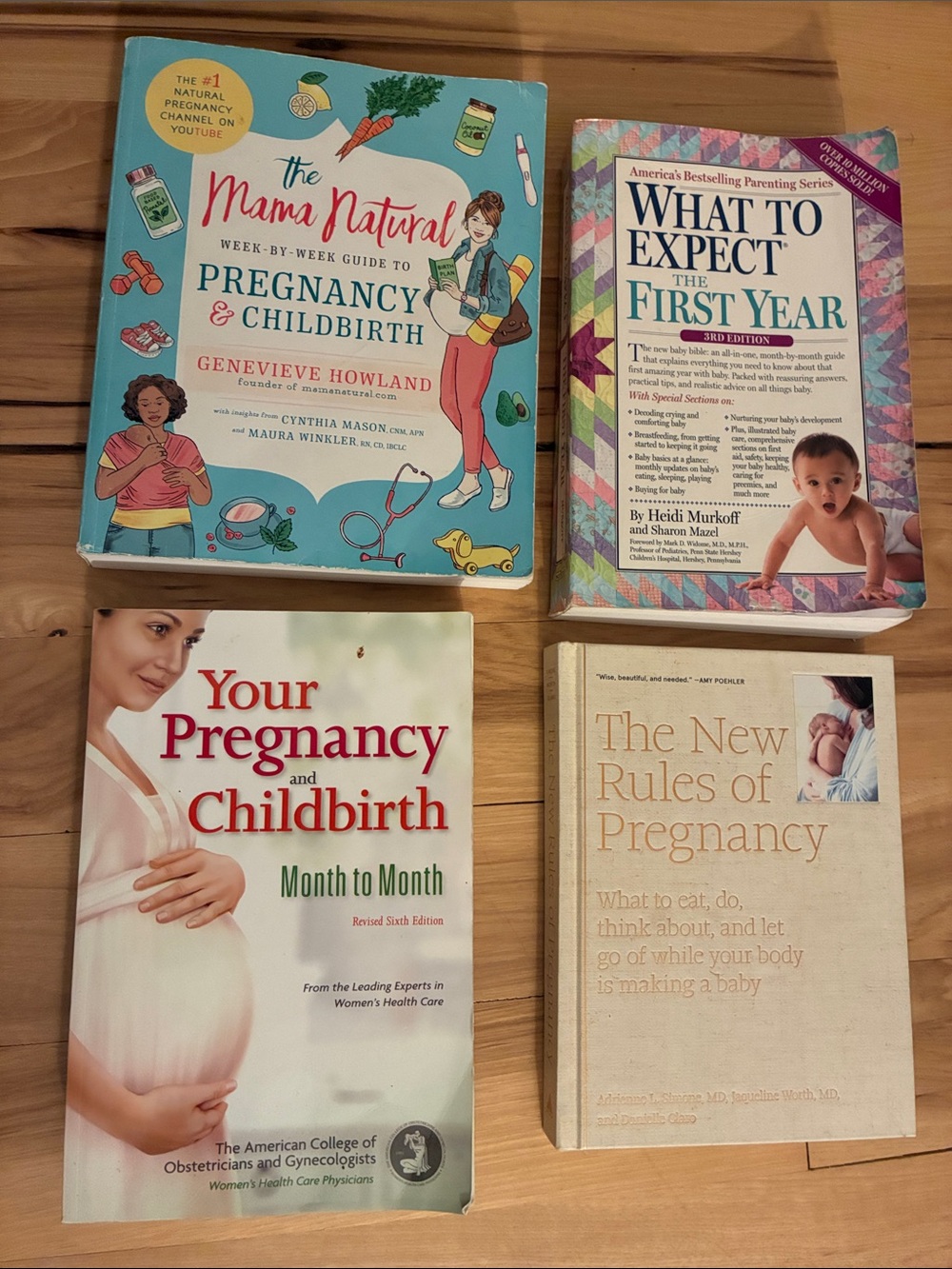 Pregnancy and Birth books